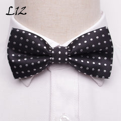 Men's Fashion Bow Tie