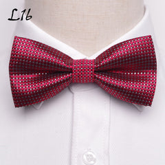 Men's Fashion Bow Tie