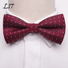 Men's Fashion Bow Tie