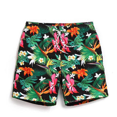 Bermudas Sweatpants for Men