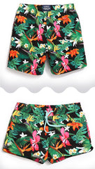 Bermudas Sweatpants for Men