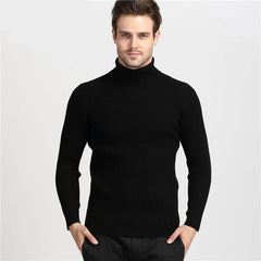 Sweater Men Turtleneck
