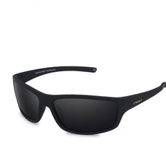 Polarized Sunglasses for Travel