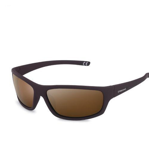 Polarized Sunglasses for Travel